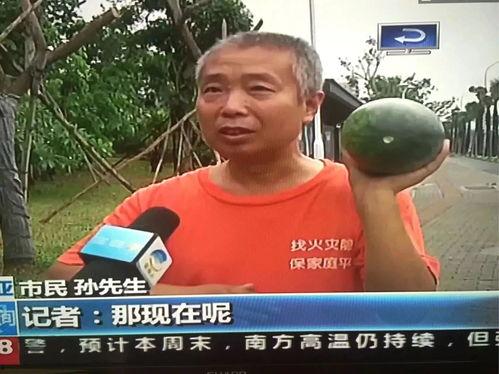 网曝热门事件吃瓜,吃瓜群众围观，真相究竟如何？