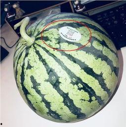 赣州网红吃瓜,揭秘当地美食圈的热辣话题