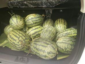 爆料带凳吃瓜,网络爆红现象背后的故事